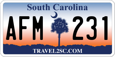 SC license plate AFM231