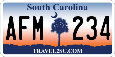 SC license plate AFM234
