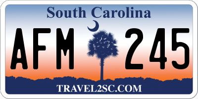 SC license plate AFM245
