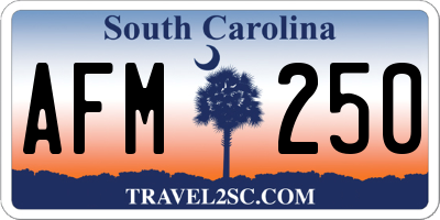 SC license plate AFM250