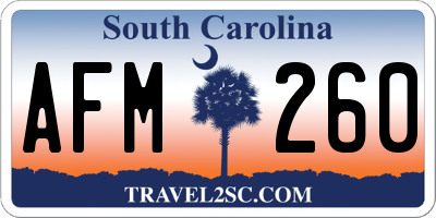 SC license plate AFM260