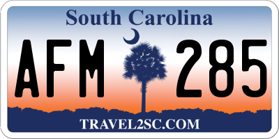 SC license plate AFM285