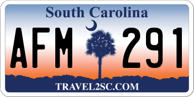 SC license plate AFM291