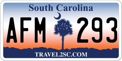 SC license plate AFM293