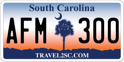 SC license plate AFM300