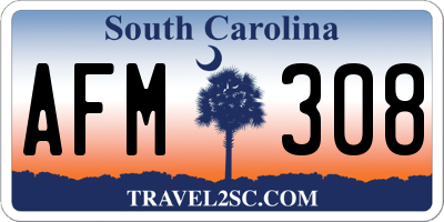 SC license plate AFM308