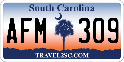 SC license plate AFM309