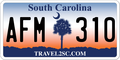SC license plate AFM310
