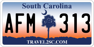 SC license plate AFM313