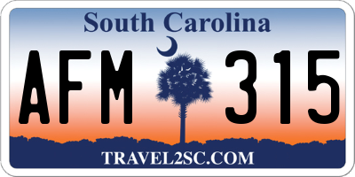 SC license plate AFM315
