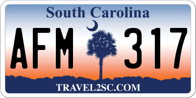 SC license plate AFM317