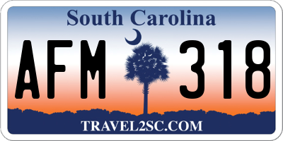 SC license plate AFM318