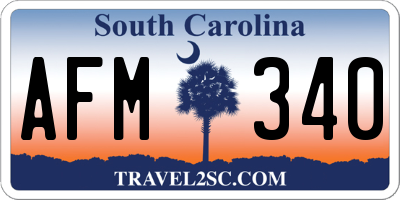 SC license plate AFM340
