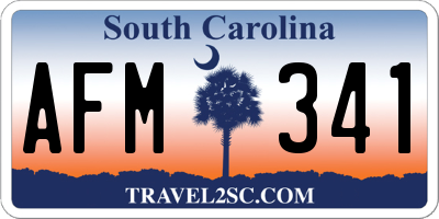 SC license plate AFM341