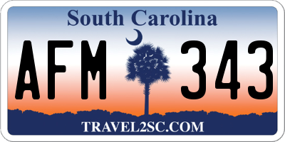 SC license plate AFM343