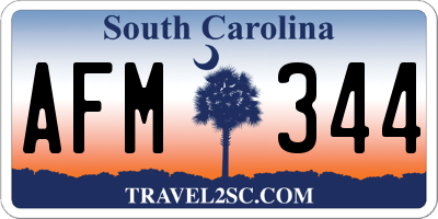 SC license plate AFM344