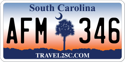 SC license plate AFM346