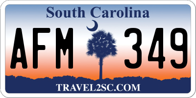 SC license plate AFM349
