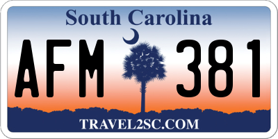SC license plate AFM381