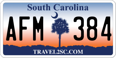 SC license plate AFM384