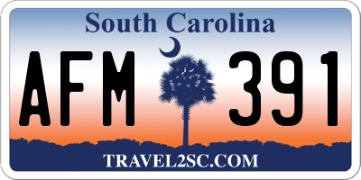 SC license plate AFM391