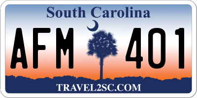 SC license plate AFM401