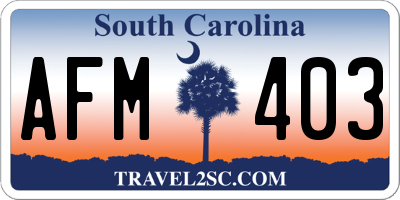 SC license plate AFM403