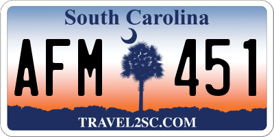 SC license plate AFM451