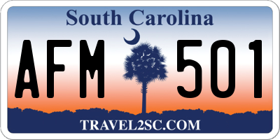 SC license plate AFM501