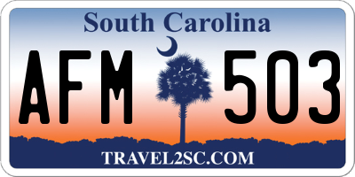 SC license plate AFM503
