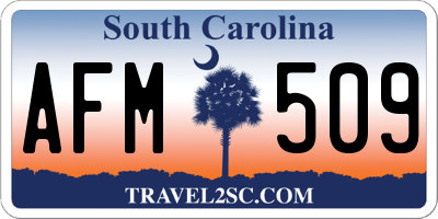 SC license plate AFM509