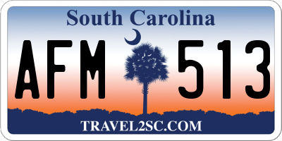 SC license plate AFM513