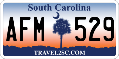 SC license plate AFM529