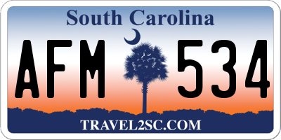 SC license plate AFM534
