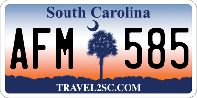 SC license plate AFM585