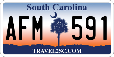 SC license plate AFM591
