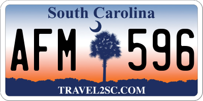 SC license plate AFM596