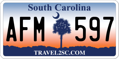 SC license plate AFM597