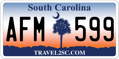 SC license plate AFM599