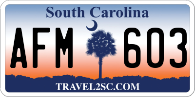 SC license plate AFM603