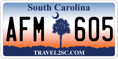 SC license plate AFM605