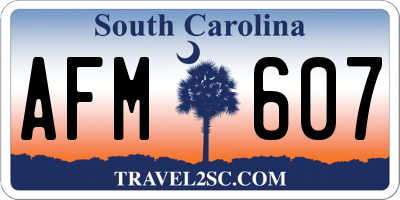 SC license plate AFM607