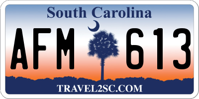 SC license plate AFM613