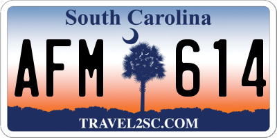 SC license plate AFM614