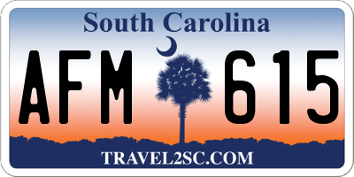 SC license plate AFM615