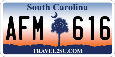 SC license plate AFM616