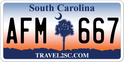 SC license plate AFM667