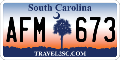 SC license plate AFM673