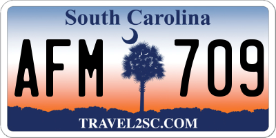 SC license plate AFM709