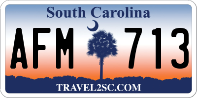 SC license plate AFM713